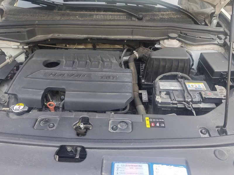 Haval H6 Coupe 2020 #8 Haval H6 Coupe 2020 immagine di auto #8