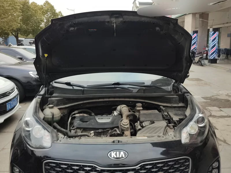 起亚 起亚KX5 2016 汽车图片 #8