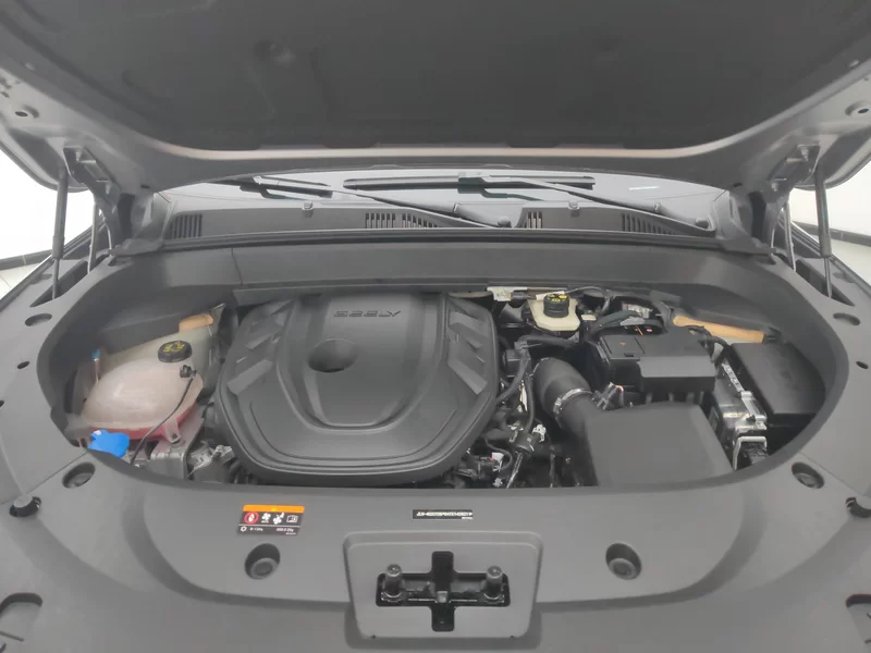 GEELY Monjaro 2024 car image #8