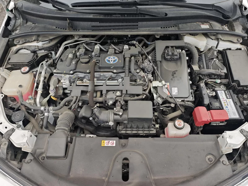 丰田 卡罗拉 2023 汽车图片 #8