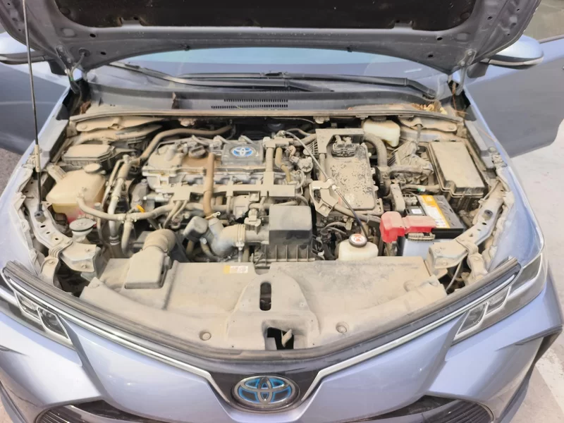 Toyota Corolla 2021 #8 Toyota Corolla 2021 car image #8