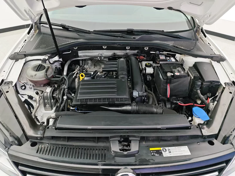 Volkswagen Lamando 2019 car image #8