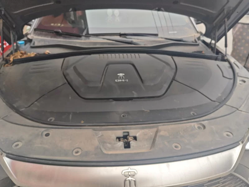 BYD Song Plus New Energy 2022 car image #8