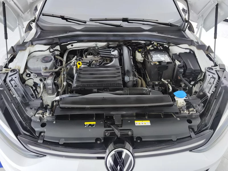 Volkswagen Lamando 2024 car image #8