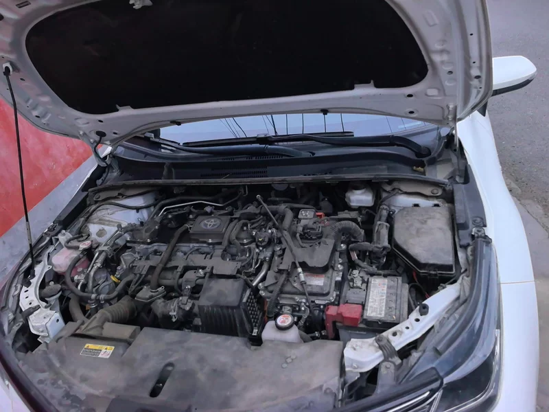 Toyota Corolla 2024 car image #8