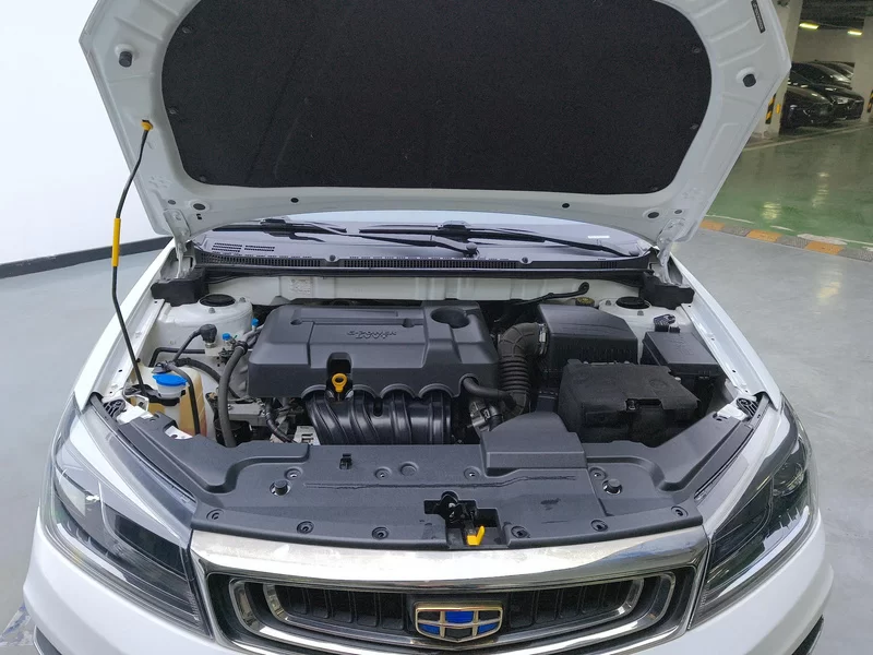 GEELY Emgrand 2019 car image #8