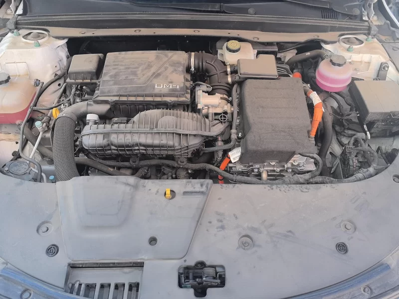 BYD Destroyer 05 2024 imagen de coche #8