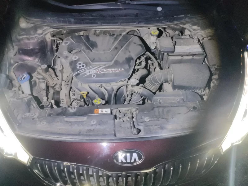 Kia K3 2013 car image #8