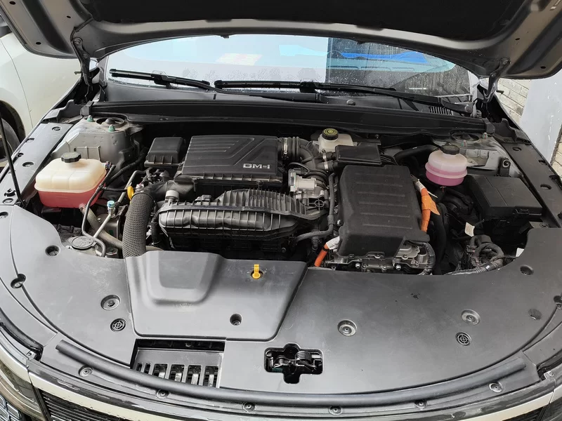 BYD Destroyer 05 2024 car image #8