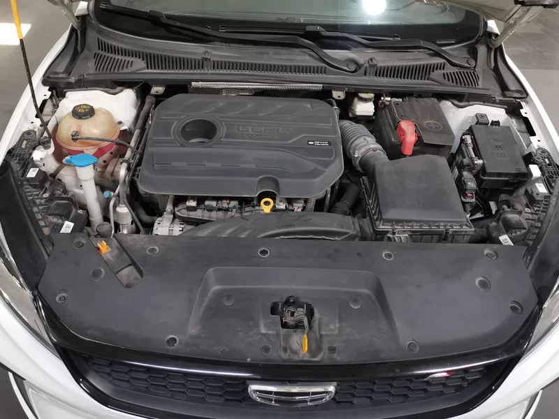 GEELY Binray 2022 immagine di auto #8
