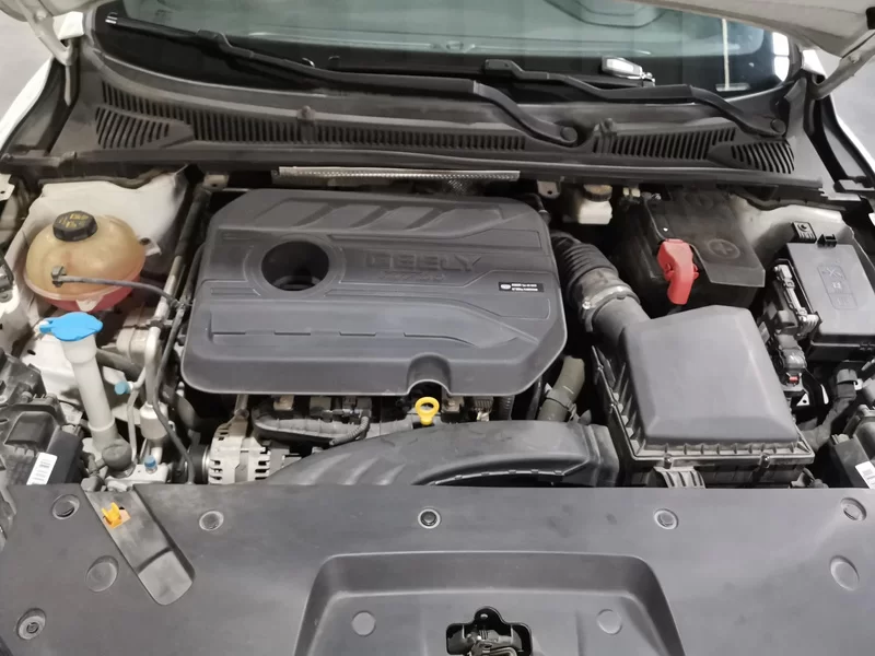 GEELY Binray 2022 #8 GEELY Binray 2022 immagine di auto #8