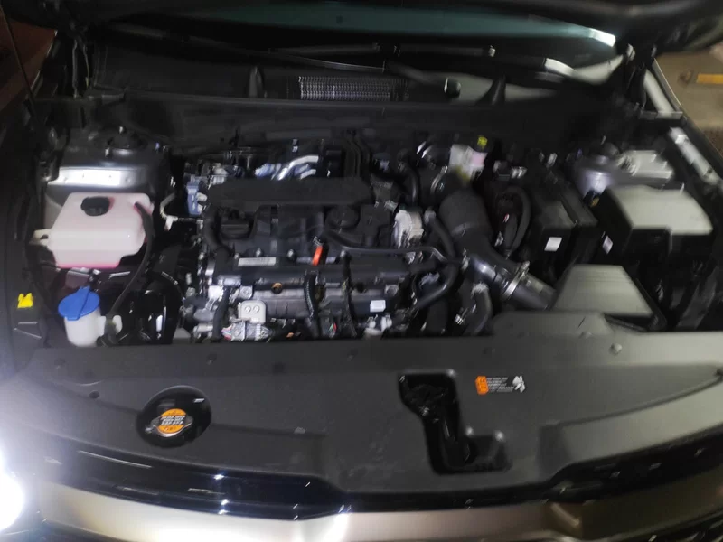 起亚 狮铂拓界 2025 汽车图片 #8