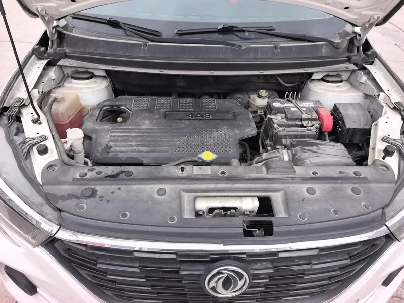 Forthing T5 2020 car image #8