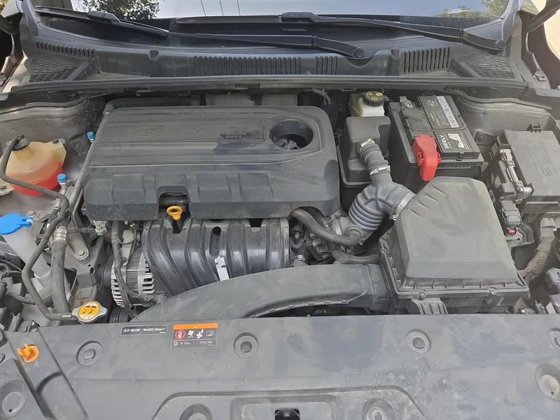 GEELY Emgrand 2022 immagine di auto #8