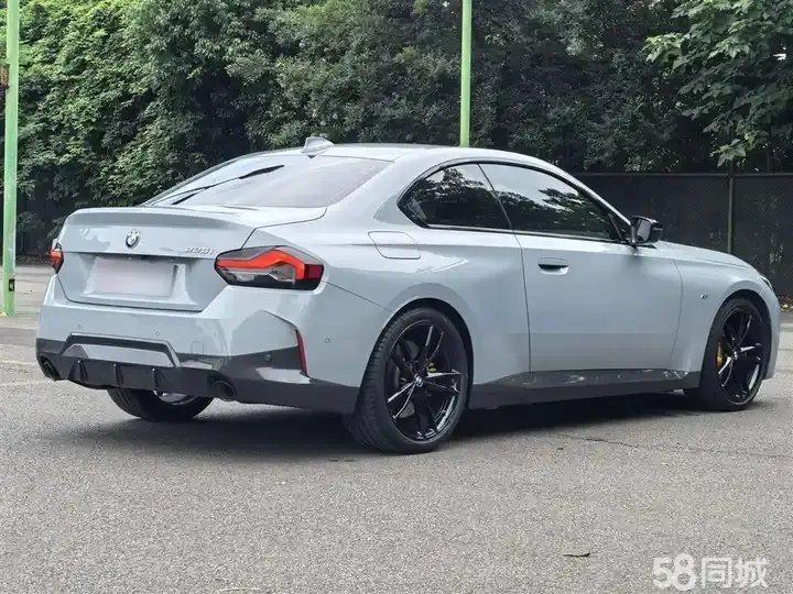 BMW 2 Series (Imported) 2017 car image #8