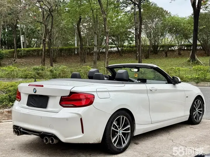 BMW 2 Series (Imported) 2018 car image #8
