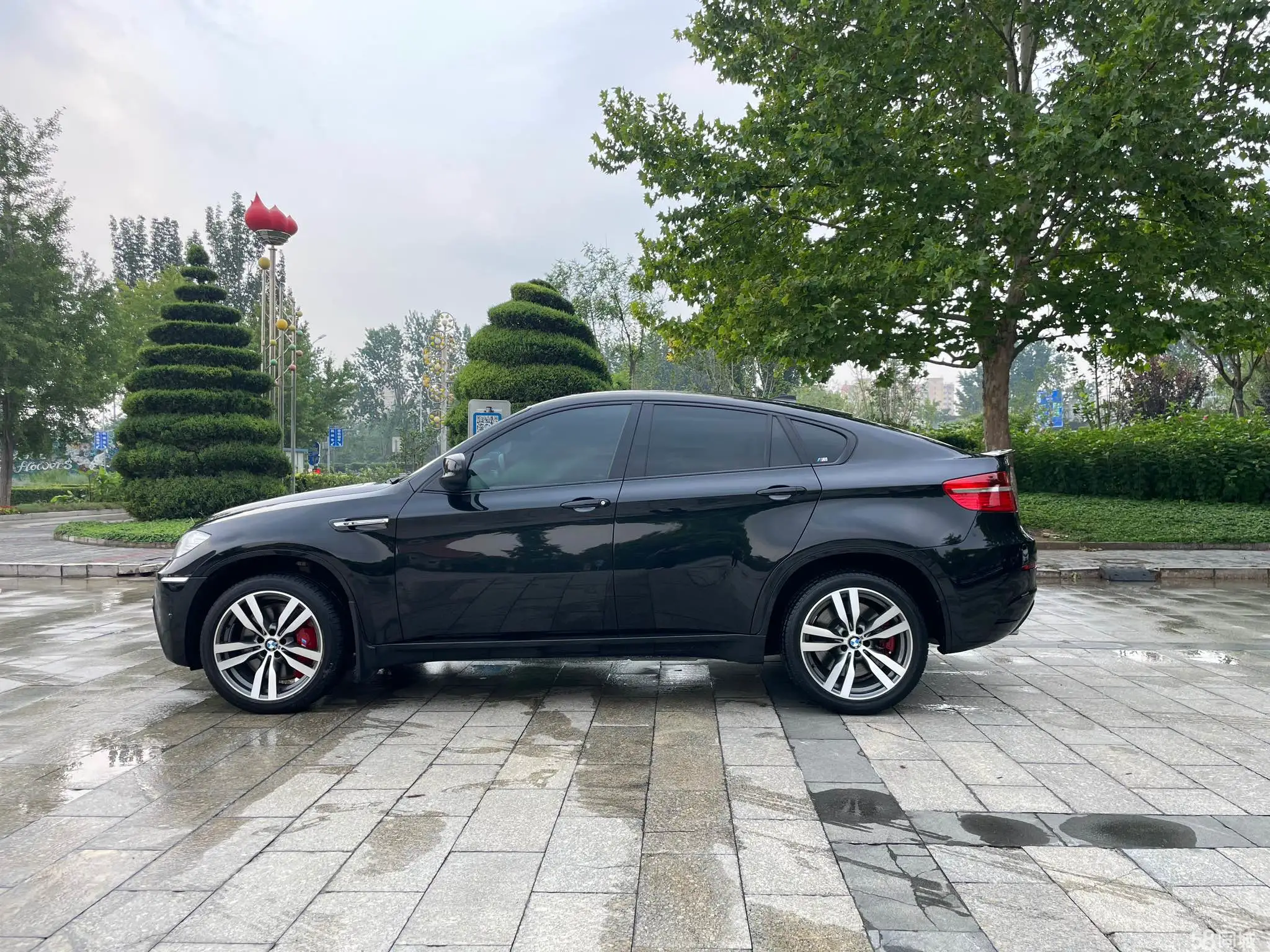 BMW X6 M 2013 car image #8