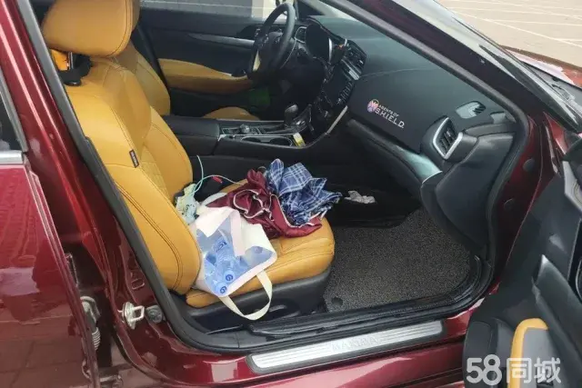 Nissan Maxima 2016 imagem de carro #8