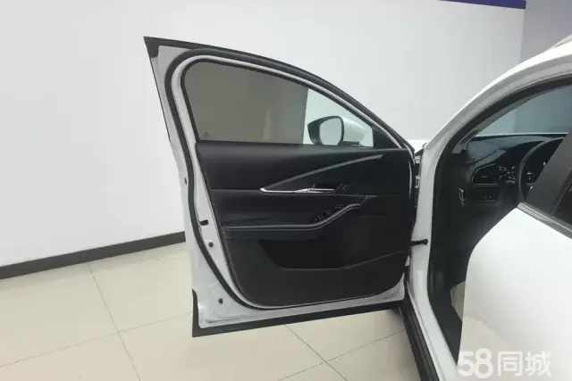 Mazda CX-30 EV 2020 imagen de coche #8