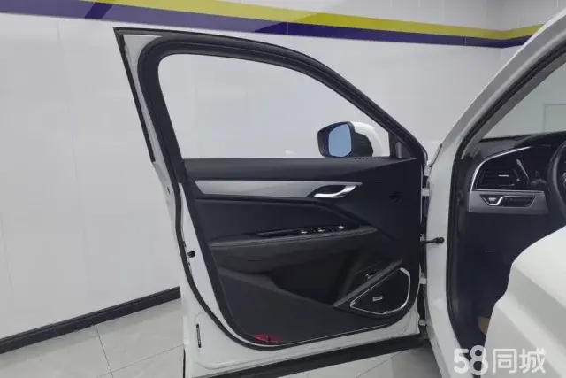 GEELY Tugella 2019 #8 GEELY Tugella 2019 car image #8