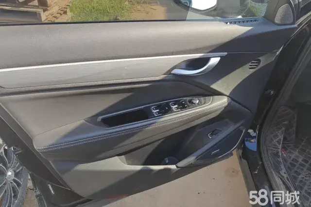 GEELY Tugella 2020 car image #8