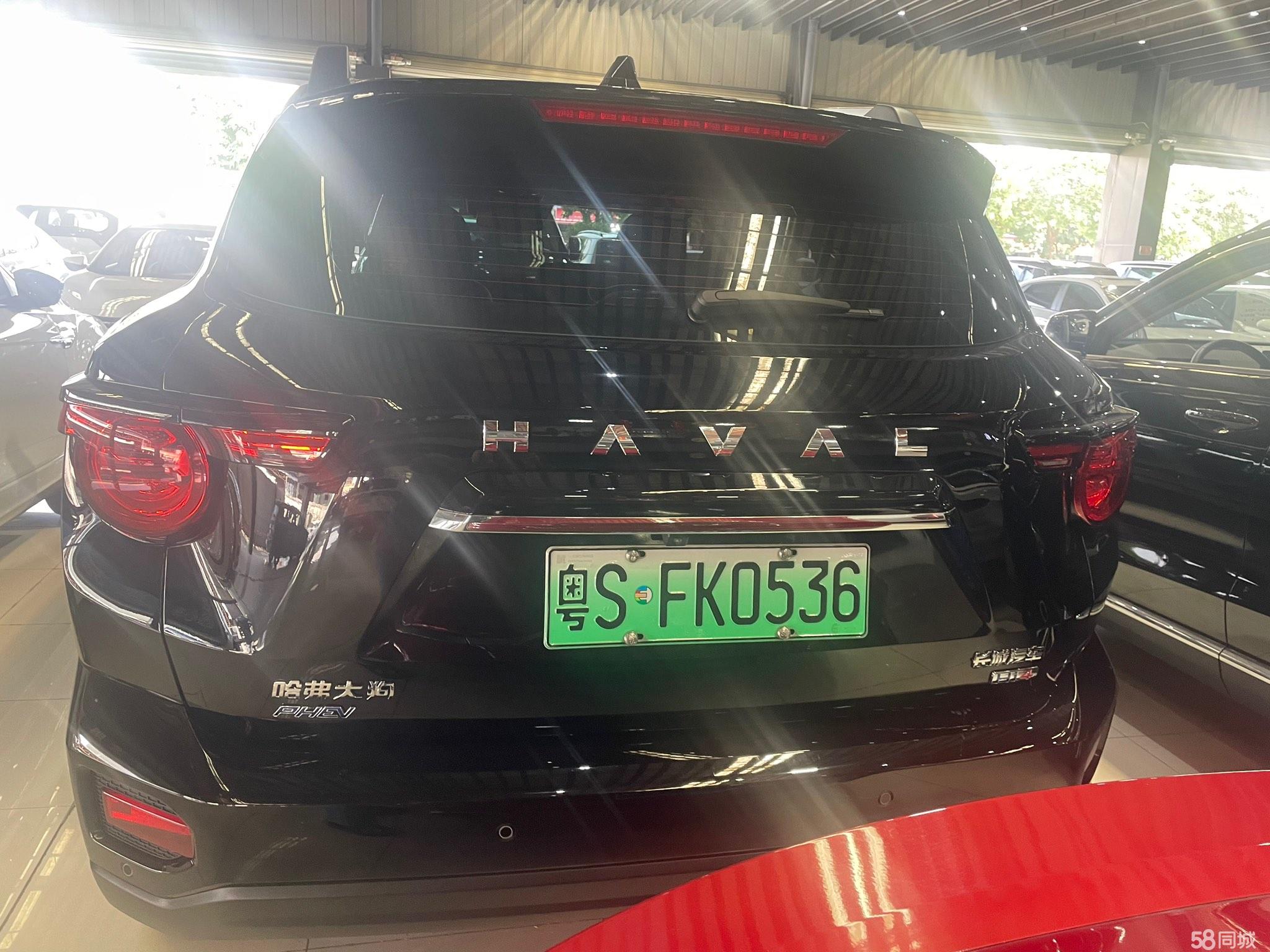 Haval X Dog 2 New Energy 2024 car image #8