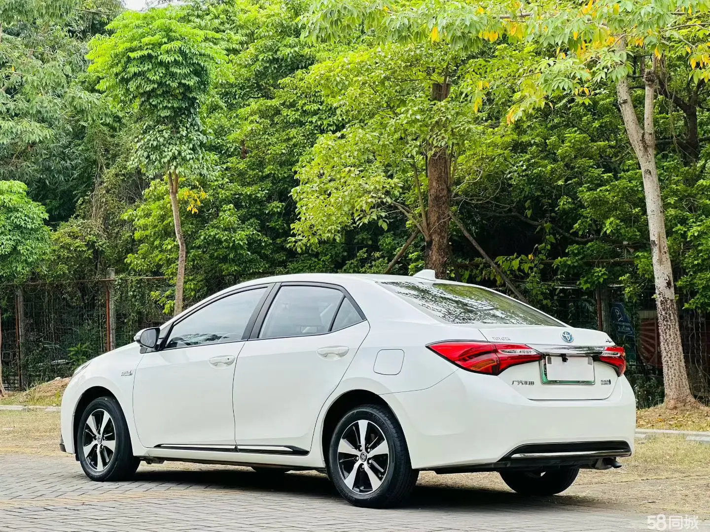 Toyota Levin Hybird E+ 2019 car image #8