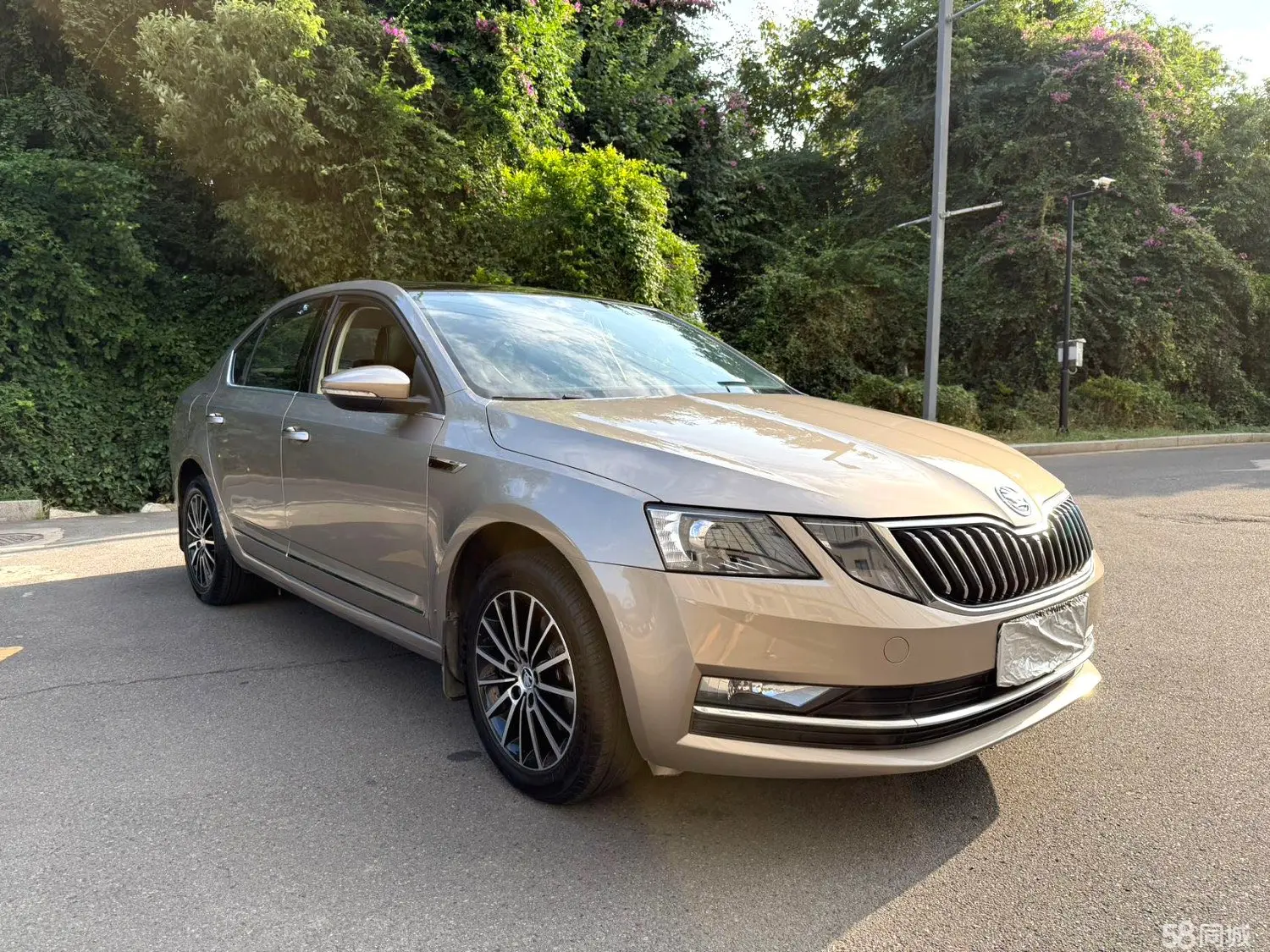 Skoda Octavia 2019 immagine di auto #8
