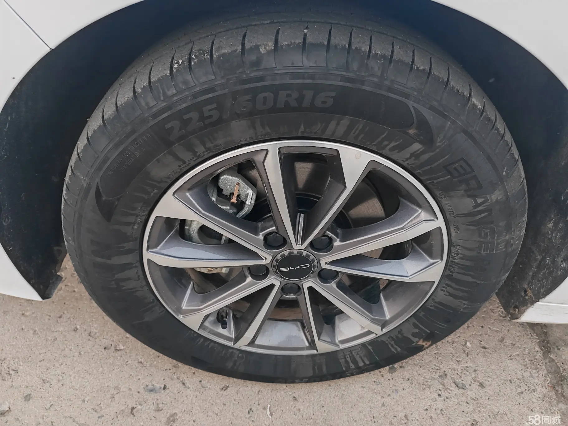 BYD Seal 05 DM-i 2024 car image #8