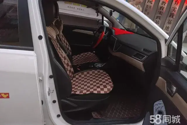 哪吒汽车 哪吒N01 2018 汽车图片 #8