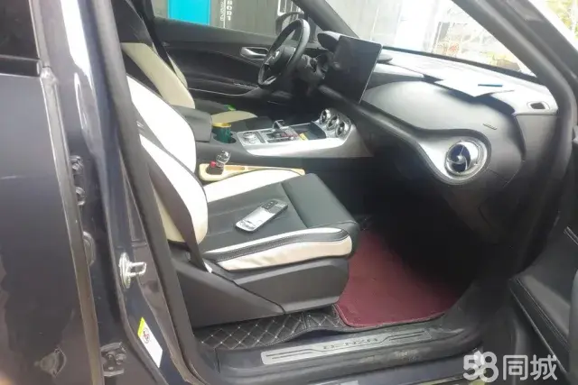 Denza X 2020 car image #8