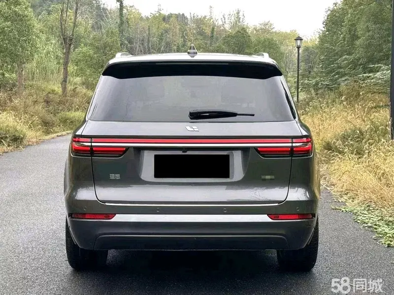 Li One 2021 imagen de coche #8