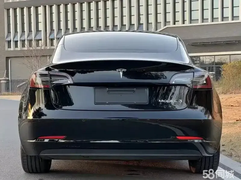 Tesla Model 3 2020 car image #8