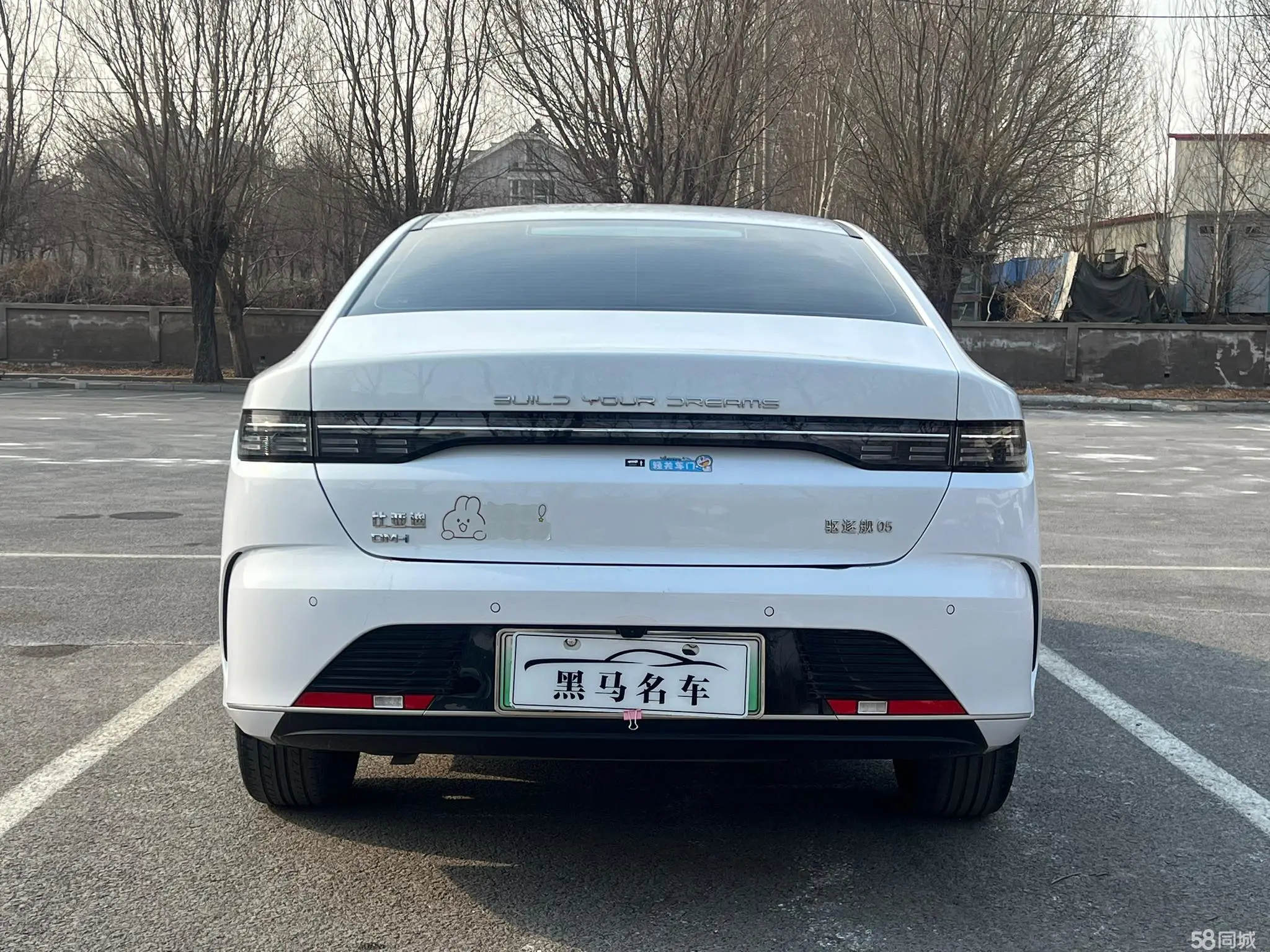 BYD Destroyer 05 2025 imagen de coche #8