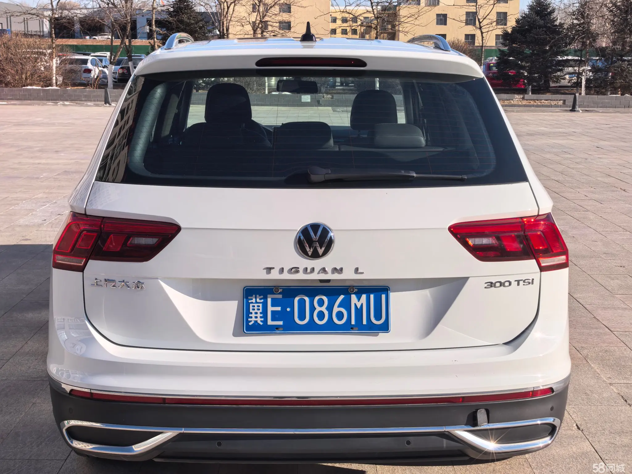 Volkswagen Tiguan L 2023 car image #8