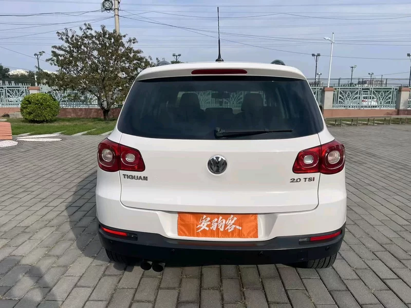 大众 Tiguan 2009 汽车图片 #8