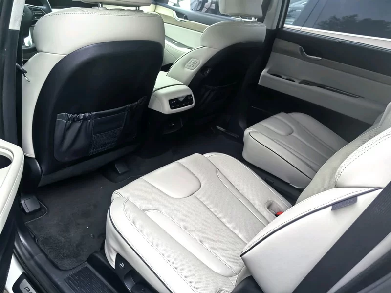 Hyundai Palisade 2021 #8 Hyundai Palisade 2021 car image #8