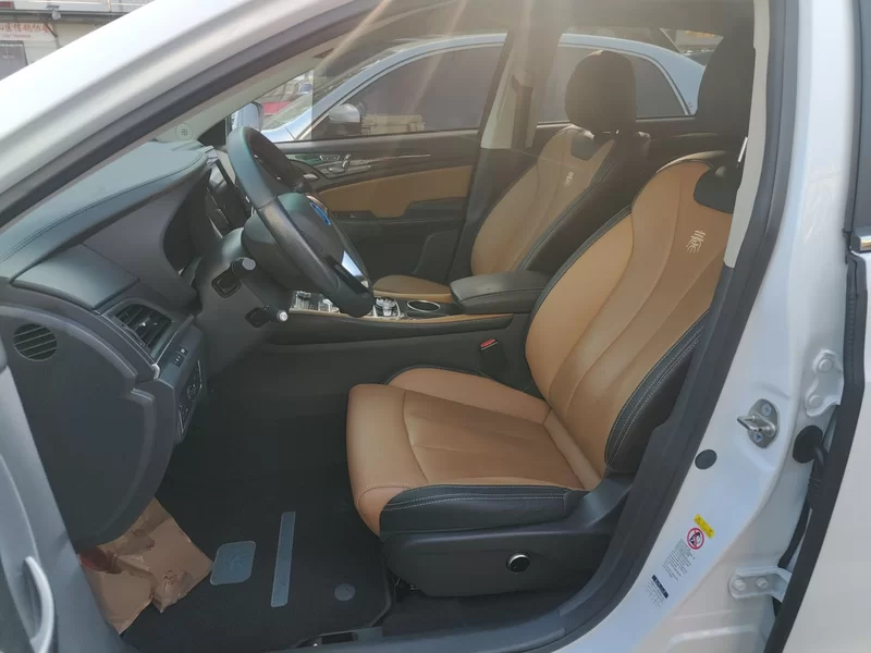 BYD Qin New Energy 2018 car image #8