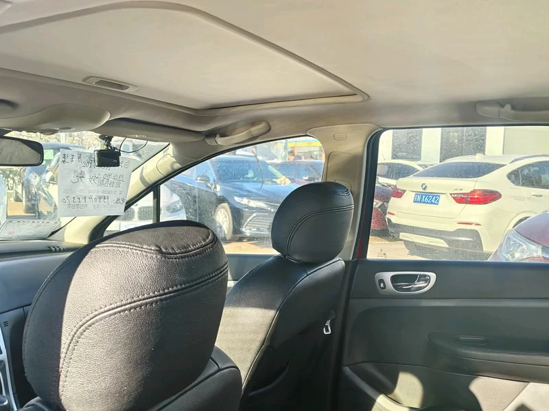 Peugeot 307 2012 car image #8