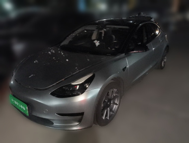 Tesla Model 3 2021 Tesla Model 3 2021 car image