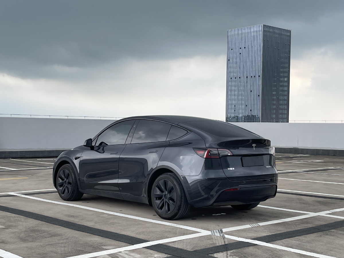 Tesla Model Y 2024 car image #4