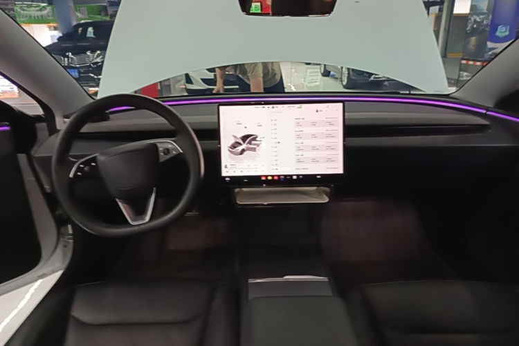Tesla Model 3 2024 immagine di auto #10