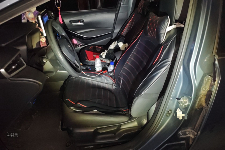 Toyota Corolla 2021 car image #17
