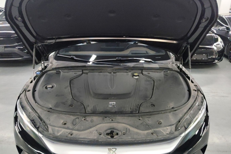 BYD Han 2022 car image #20