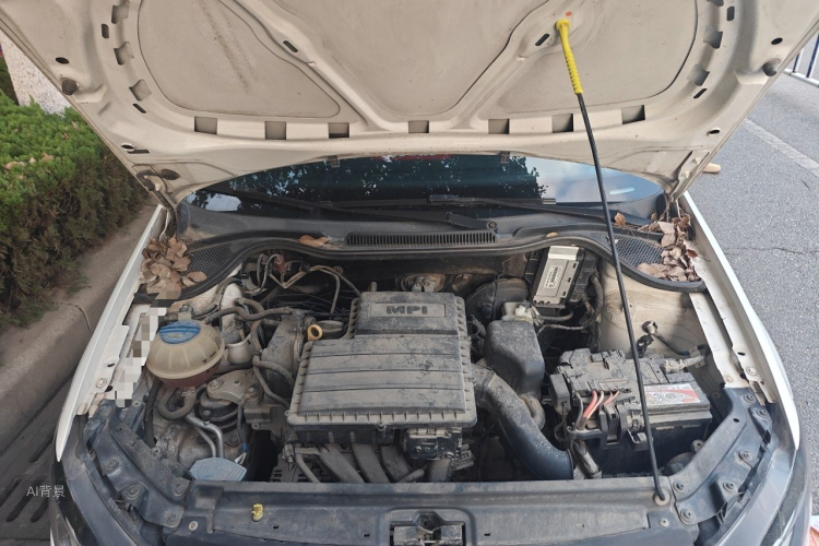 Volkswagen Polo 2016 car image #22