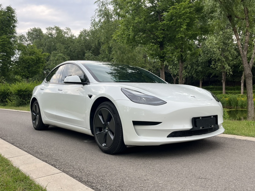 Tesla Model 3 2023 #3 Tesla Model 3 2023 car image #3