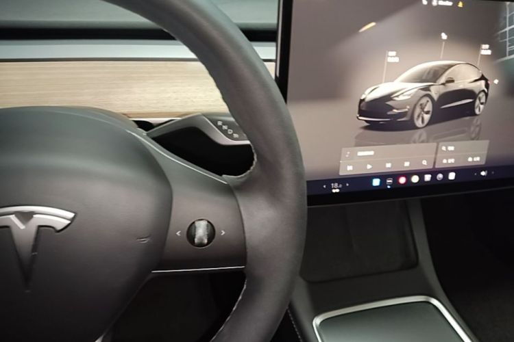 Tesla Model 3 2023 car image #17