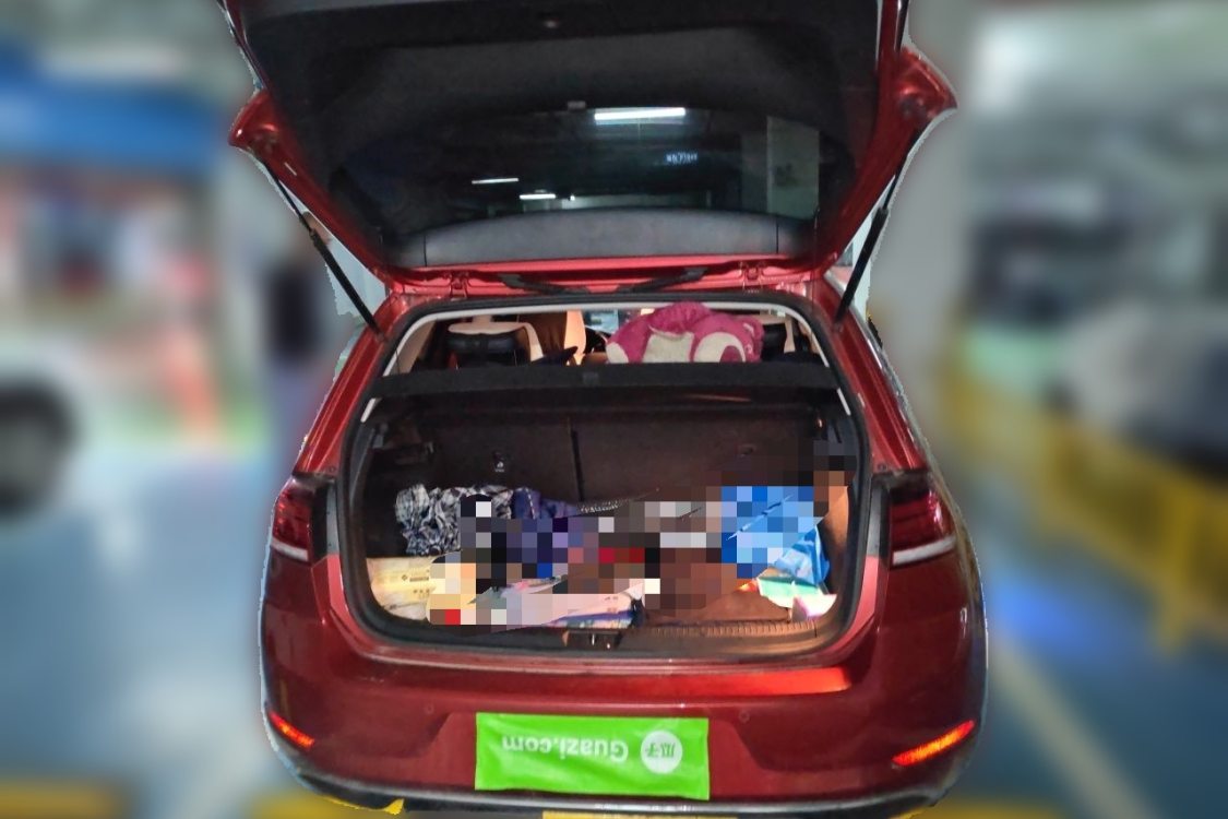 Volkswagen Golf 2020 car image #8