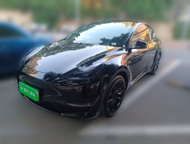 Tesla Model Y 2021 immagine di auto 