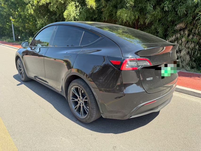Tesla Model Y 2024 #6 Tesla Model Y 2024 car image #6